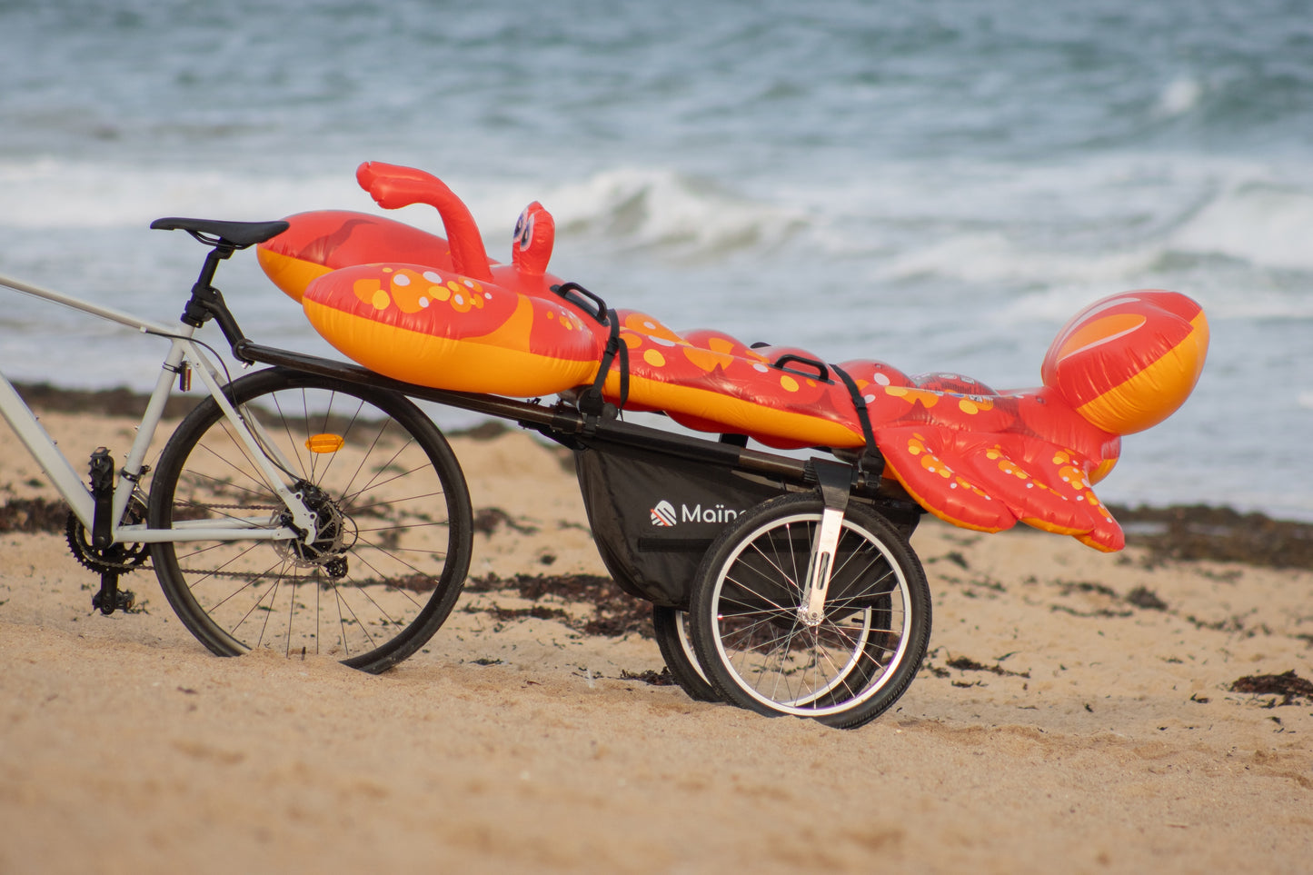 Pack Sports Outdoor - La remorque de vélo Maïna et son rack à planches