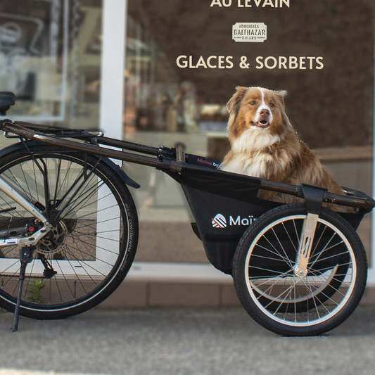 Pack Nounours & Cie - La remorque Maïna et son support pour animaux