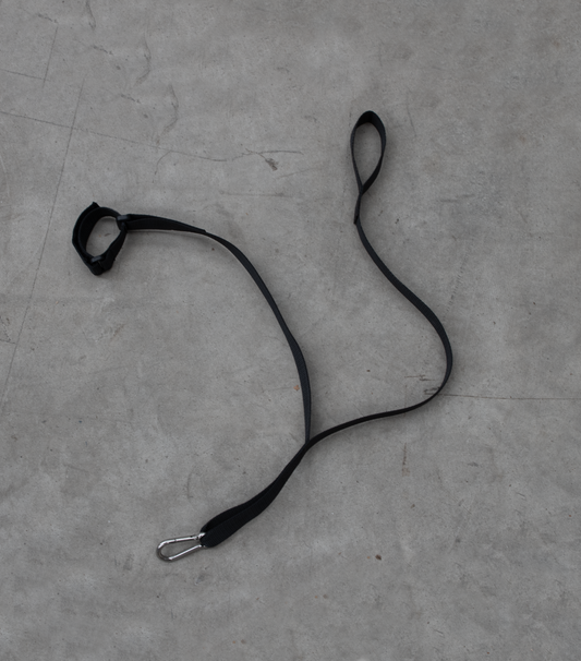 La laisse pour animaux de compagnie