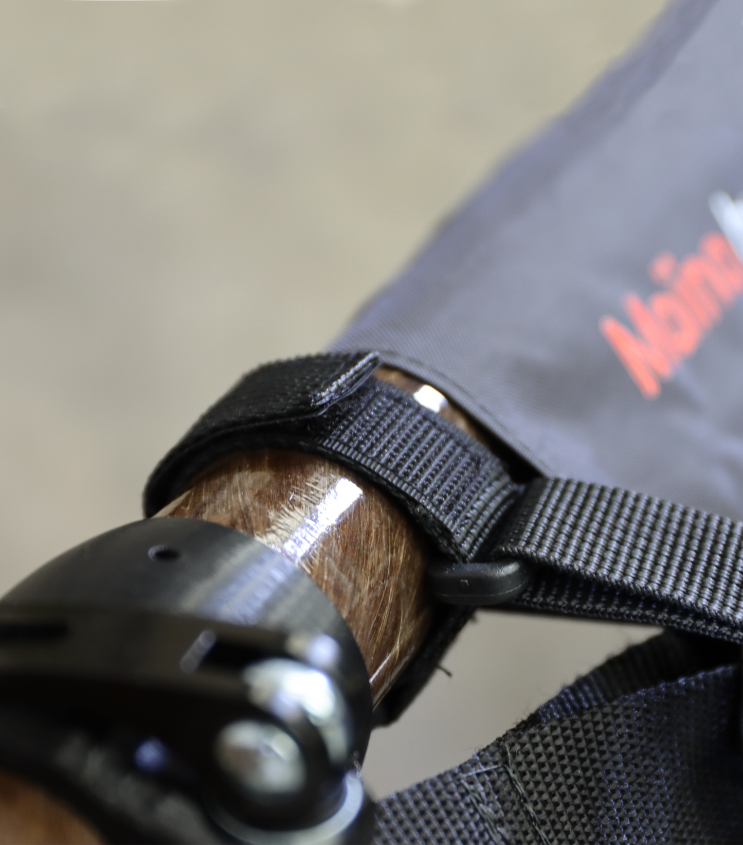 La laisse pour animaux de compagnie