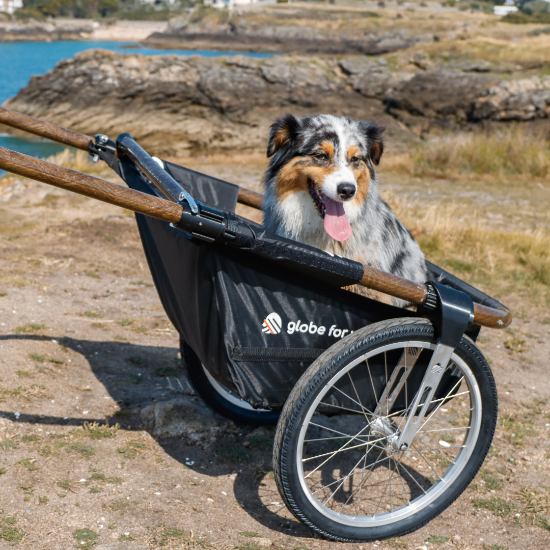 Pack Nounours & Compagnie - La remorque Maïna et son support pour animaux
