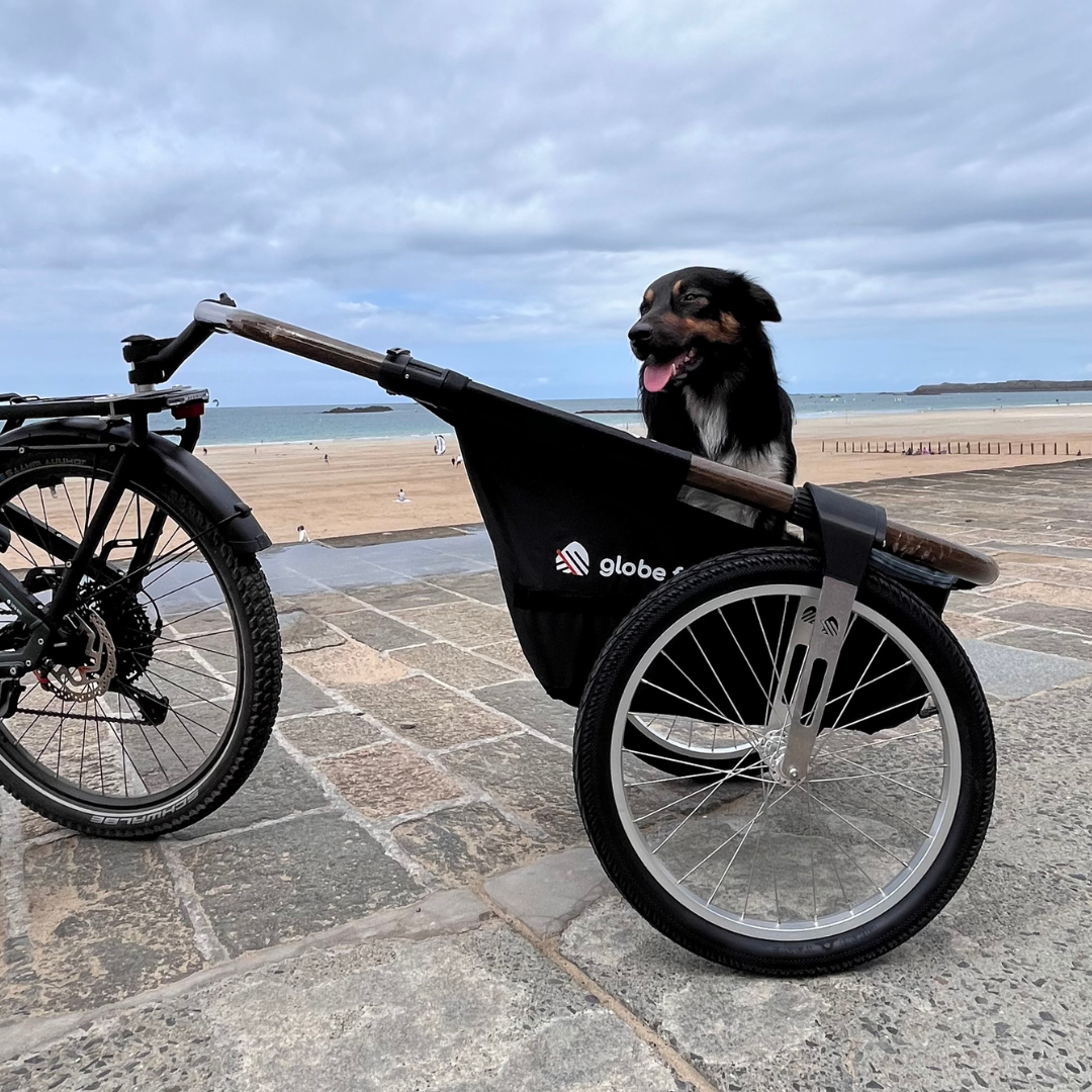 Pack Nounours & Compagnie - La remorque Maïna et son support pour animaux