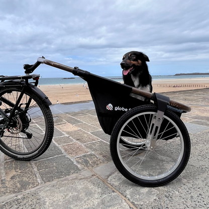 Pack Nounours & Compagnie - La remorque Maïna et son support pour animaux