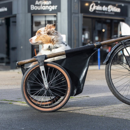 Gros Nounours - La remorque Maïna 20+ et son support pour animaux