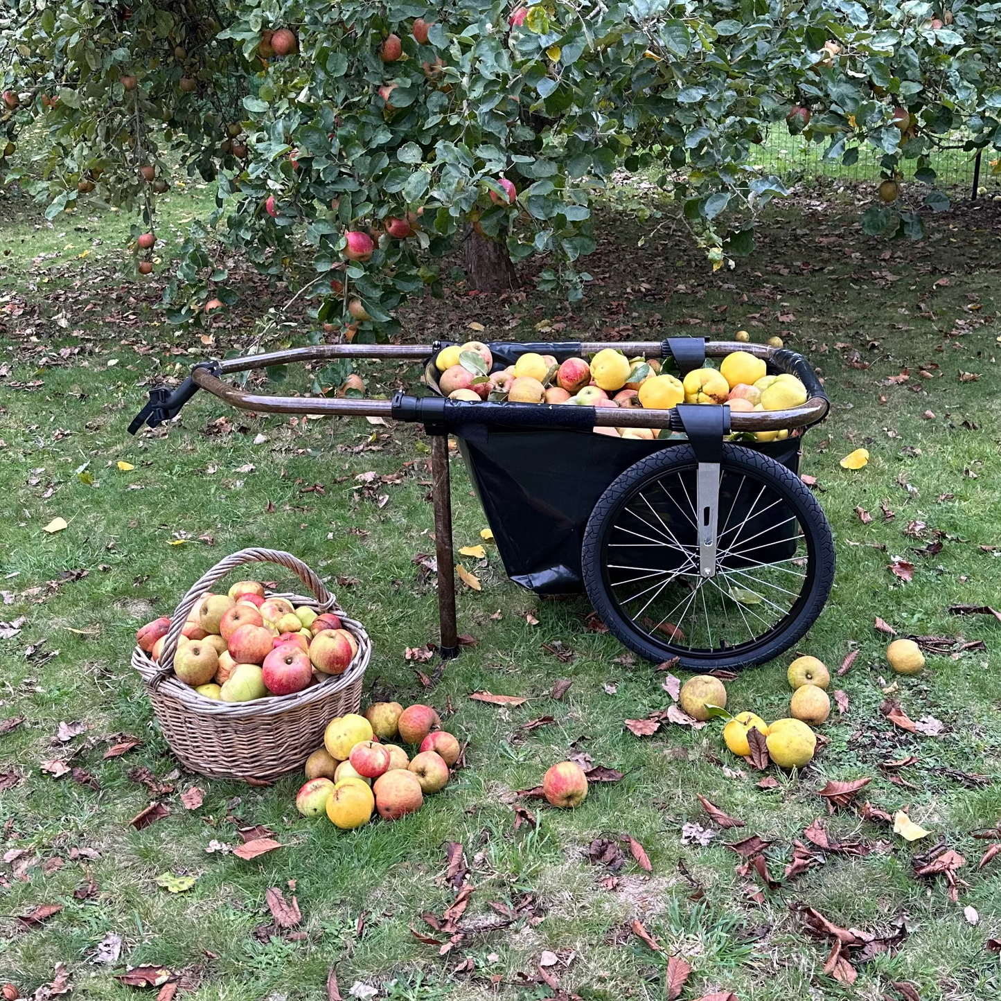 Verdure - Maïna 20+ et sa béquille