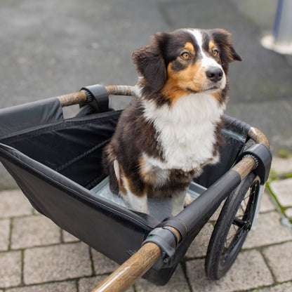 Little Teddy Bear - Maïna 16 and her pet stand