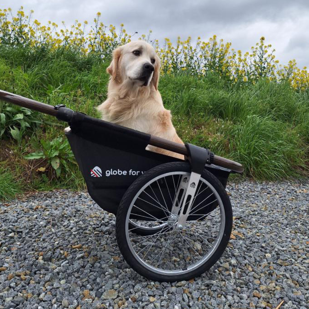 Pack Nounours & Compagnie - La remorque Maïna et son support pour animaux