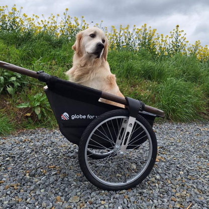 Pack Nounours & Compagnie - La remorque Maïna et son support pour animaux